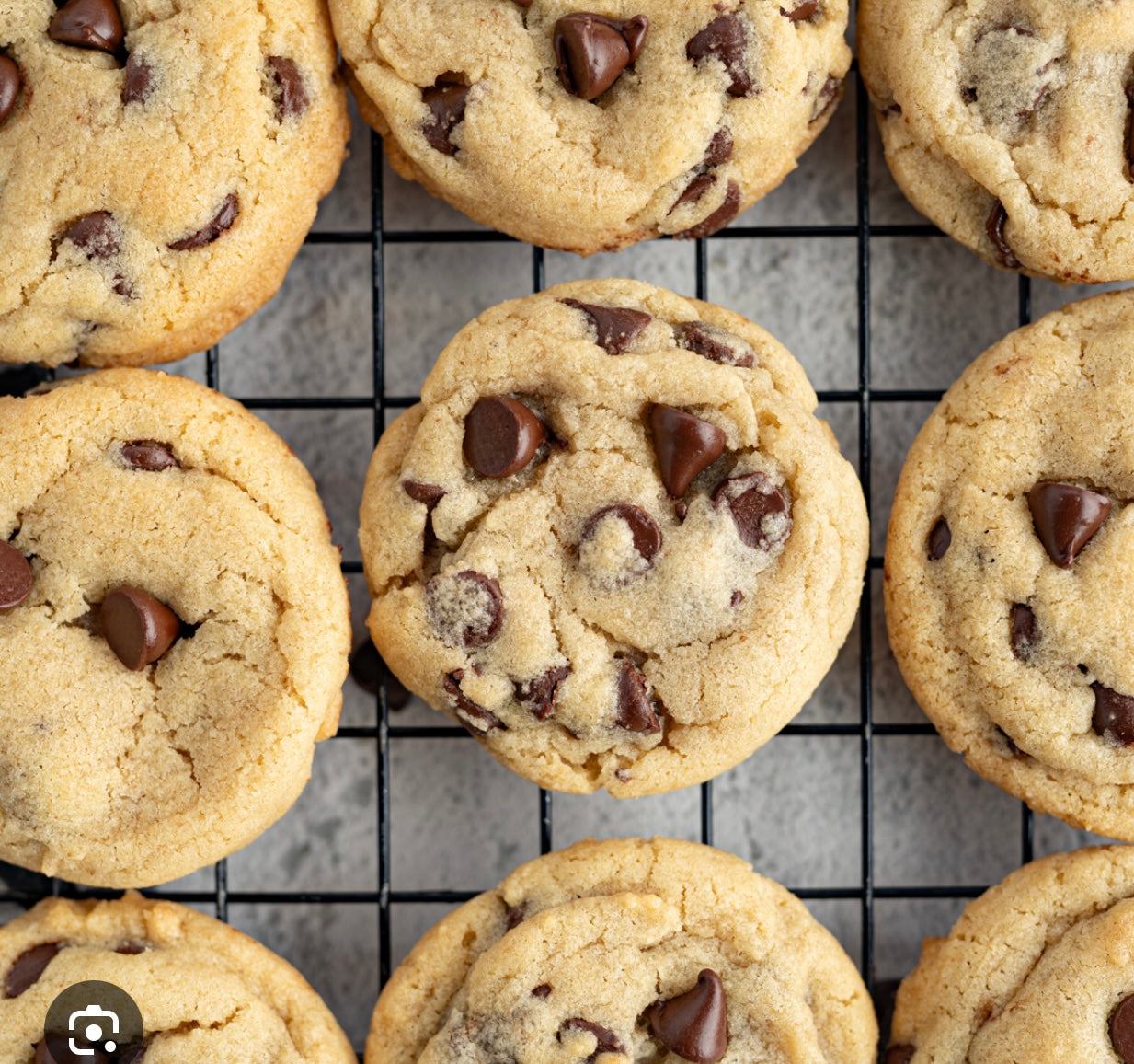 Chocolate Chip Cookie