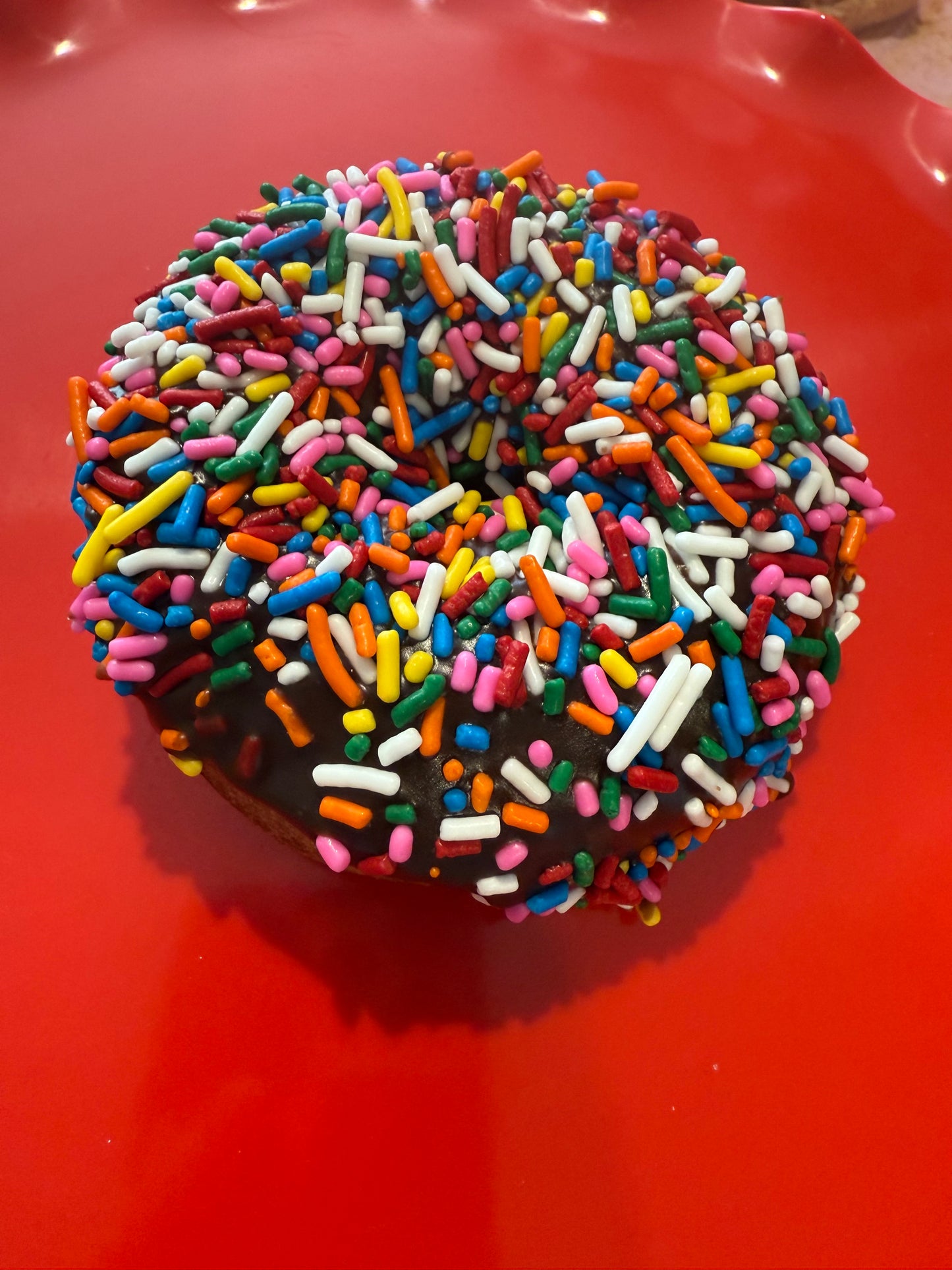 Cake Donut - Chocolate Icing